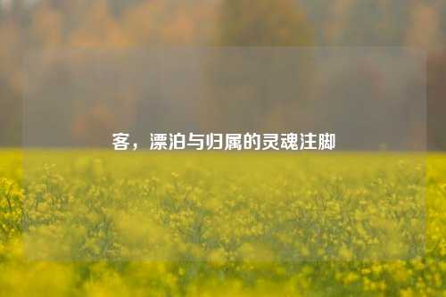 客，漂泊与归属的灵魂注脚
