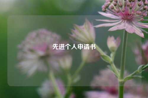 先进个人申请书