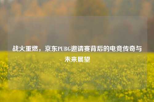战火重燃，京东PUBG邀请赛背后的电竞传奇与未来展望