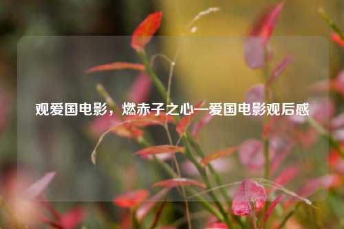 观爱国电影，燃赤子之心—爱国电影观后感