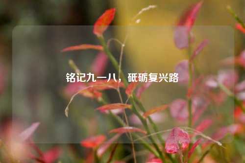 铭记九一八，砥砺复兴路