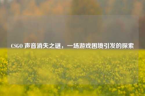 CSGO 声音消失之谜，一场游戏困境引发的探索