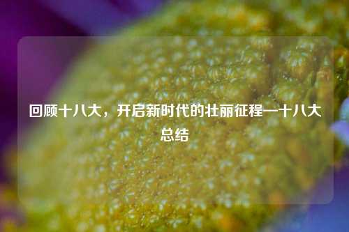 回顾十八大，开启新时代的壮丽征程—十八大总结