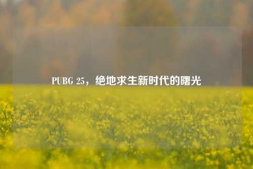 PUBG 25，绝地求生新时代的曙光