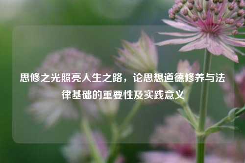 思修之光照亮人生之路，论思想道德修养与法律基础的重要性及实践意义