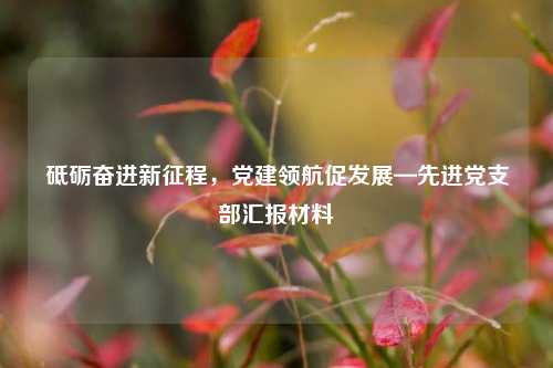 砥砺奋进新征程，党建领航促发展—先进党支部汇报材料
