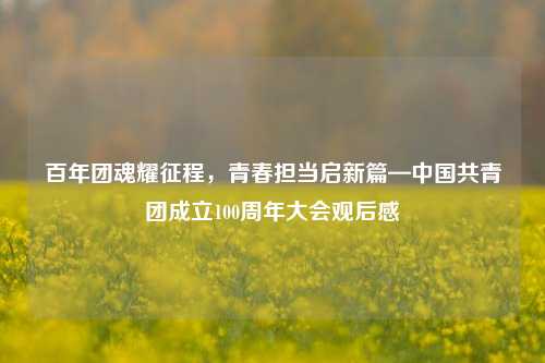 百年团魂耀征程，青春担当启新篇—中国共青团成立100周年大会观后感
