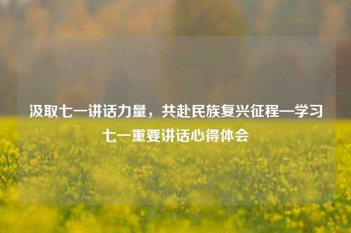 汲取七一讲话力量，共赴民族复兴征程—学习七一重要讲话心得体会