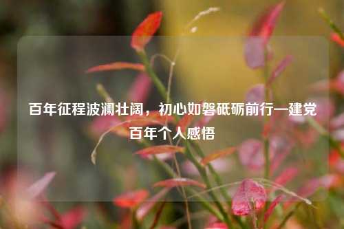 百年征程波澜壮阔，初心如磐砥砺前行—建党百年个人感悟