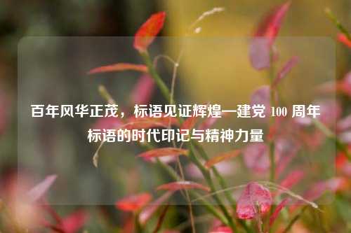 百年风华正茂，标语见证辉煌—建党 100 周年标语的时代印记与精神力量