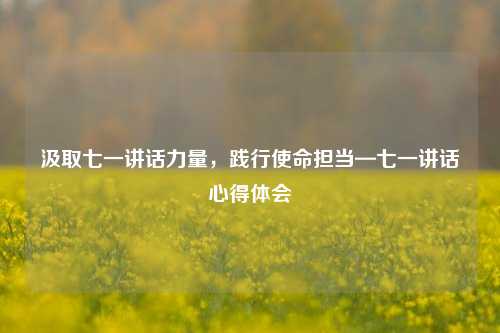 汲取七一讲话力量，践行使命担当—七一讲话心得体会