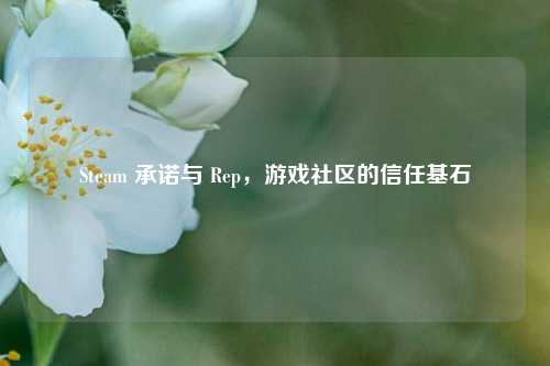 Steam 承诺与 Rep，游戏社区的信任基石
