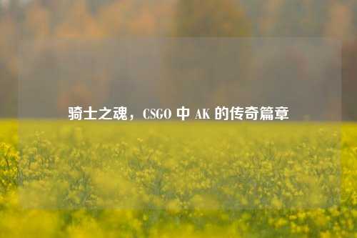骑士之魂，CSGO 中 AK 的传奇篇章
