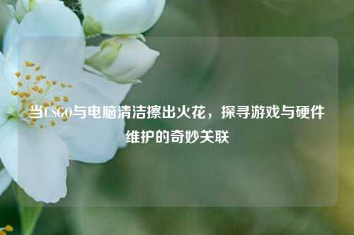 当CSGO与电脑清洁擦出火花，探寻游戏与硬件维护的奇妙关联