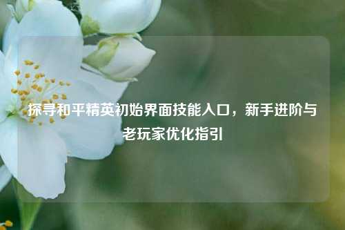 探寻和平精英初始界面技能入口，新手进阶与老玩家优化指引