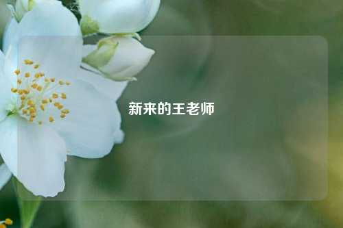 新来的王老师