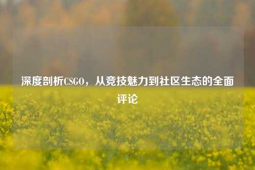 深度剖析CSGO，从竞技魅力到社区生态的全面评论