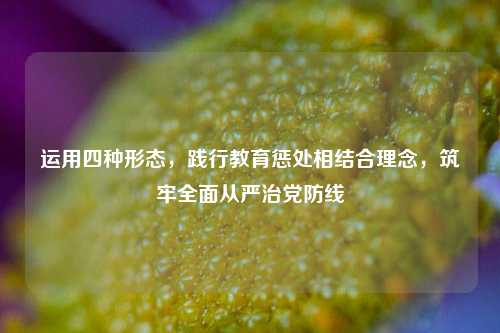 运用四种形态，践行教育惩处相结合理念，筑牢全面从严治党防线