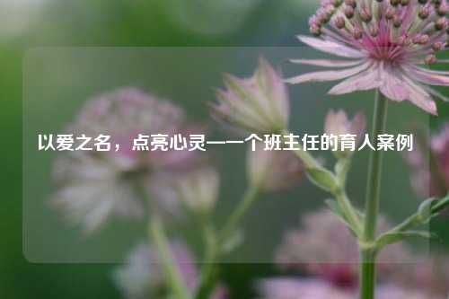 以爱之名，点亮心灵—一个班主任的育人案例