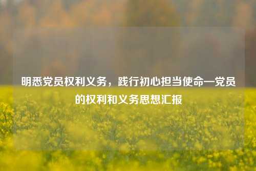 明悉党员权利义务，践行初心担当使命—党员的权利和义务思想汇报