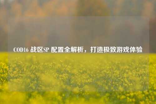 COD16 战区SP 配置全解析，打造极致游戏体验