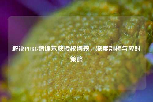 解决PUBG错误未获授权问题，深度剖析与应对策略