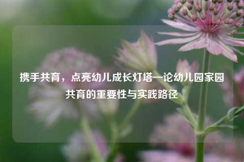 携手共育，点亮幼儿成长灯塔—论幼儿园家园共育的重要性与实践路径