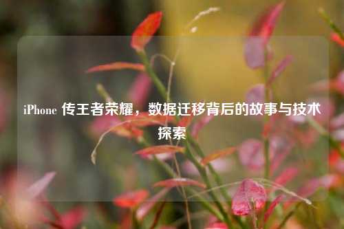 iPhone 传王者荣耀，数据迁移背后的故事与技术探索