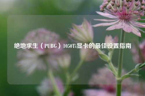 绝地求生（PUBG）1050Ti显卡的最佳设置指南