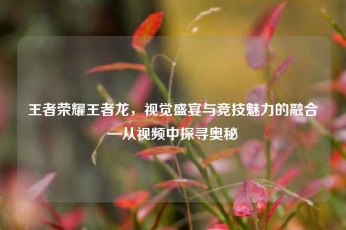 王者荣耀王者龙，视觉盛宴与竞技魅力的融合—从视频中探寻奥秘