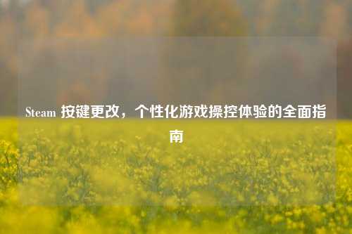 Steam 按键更改，个性化游戏操控体验的全面指南