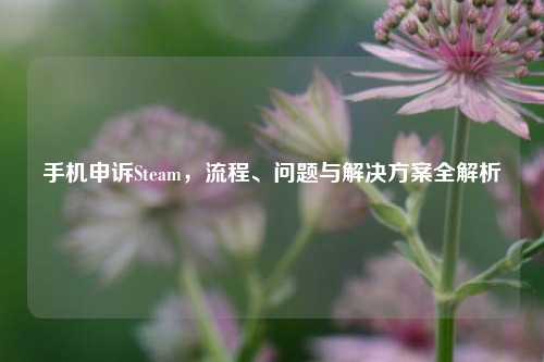 手机申诉Steam，流程、问题与解决方案全解析