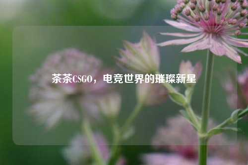 茶茶CSGO，电竞世界的璀璨新星