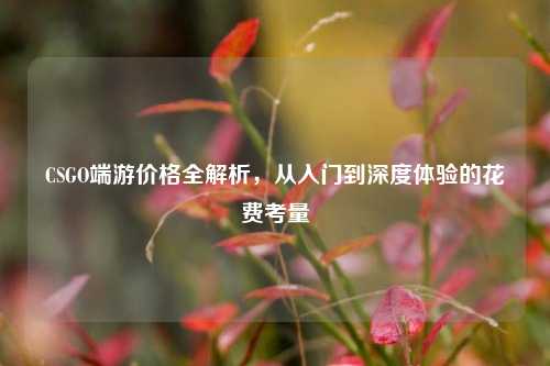 CSGO端游价格全解析，从入门到深度体验的花费考量