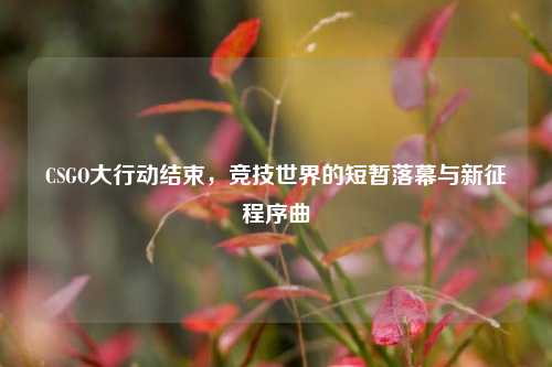 CSGO大行动结束，竞技世界的短暂落幕与新征程序曲