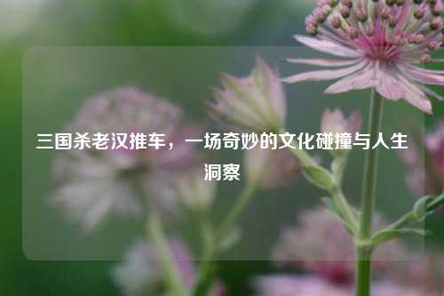 三国杀老汉推车，一场奇妙的文化碰撞与人生洞察