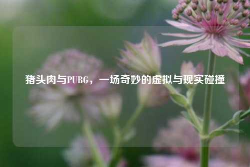 猪头肉与PUBG，一场奇妙的虚拟与现实碰撞