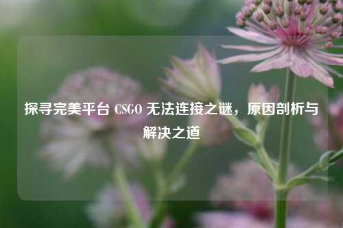 探寻完美平台 CSGO 无法连接之谜，原因剖析与解决之道
