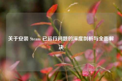 关于安装 Steam 已运行问题的深度剖析与全面解决