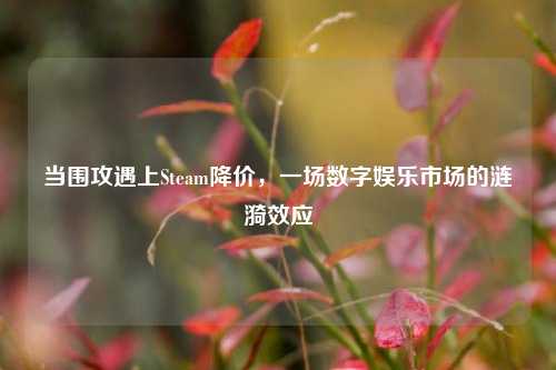 当围攻遇上Steam降价，一场数字娱乐市场的涟漪效应