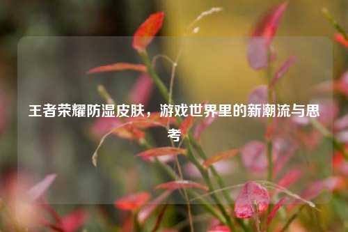 王者荣耀防湿皮肤，游戏世界里的新潮流与思考