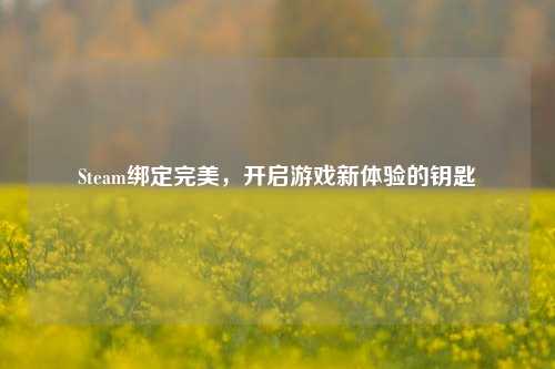 Steam绑定完美，开启游戏新体验的钥匙