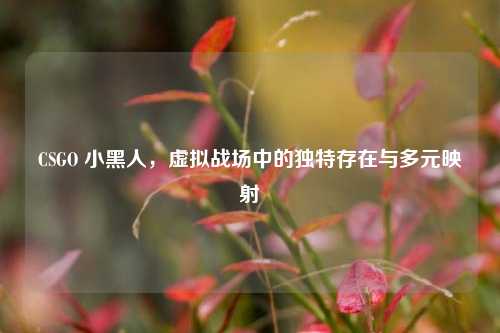 CSGO 小黑人，虚拟战场中的独特存在与多元映射