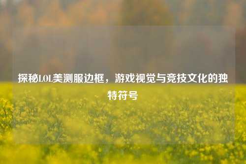 探秘LOL美测服边框，游戏视觉与竞技文化的独特符号