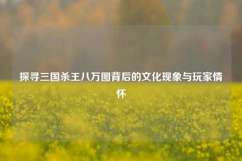 探寻三国杀王八万图背后的文化现象与玩家情怀