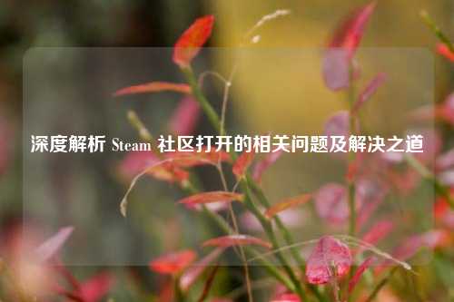 深度解析 Steam 社区打开的相关问题及解决之道