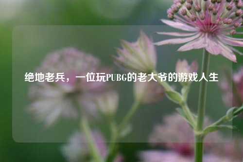 绝地老兵，一位玩PUBG的老大爷的游戏人生