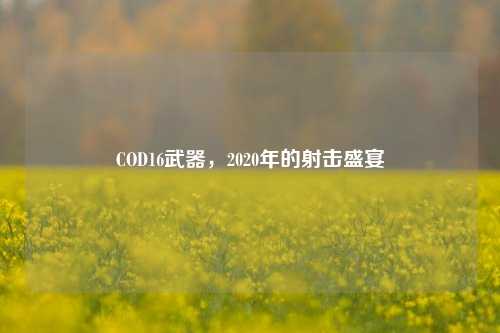 COD16武器，2020年的射击盛宴