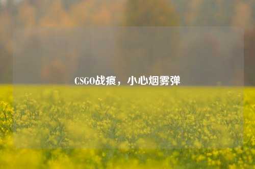 CSGO战痕，小心烟雾弹