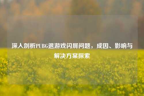 深入剖析PUBG退游戏闪屏问题，成因、影响与解决方案探索